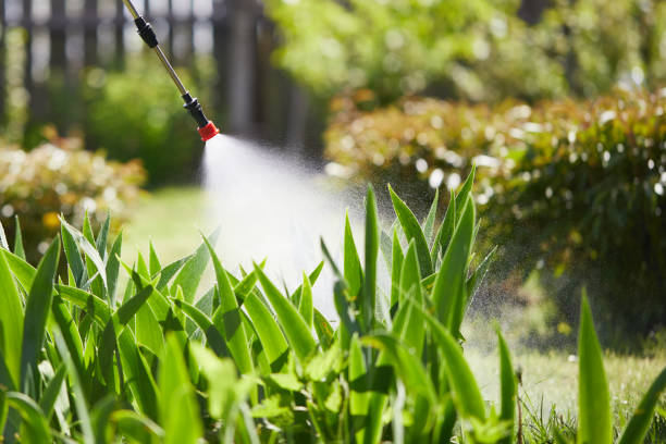 Tamper-Resistant Bait Stations for Rodents in Salisbury