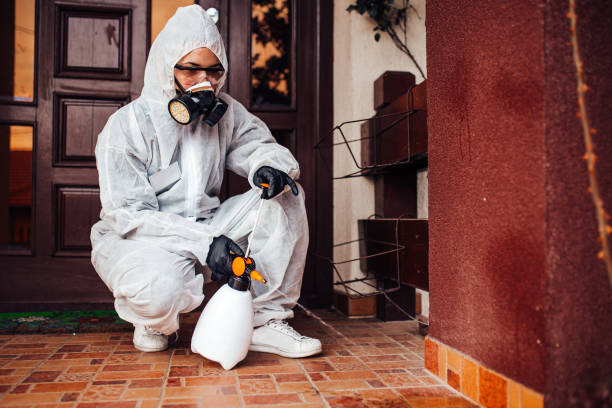 Attic and Crawl Space Rodent Treatment in Salisbury