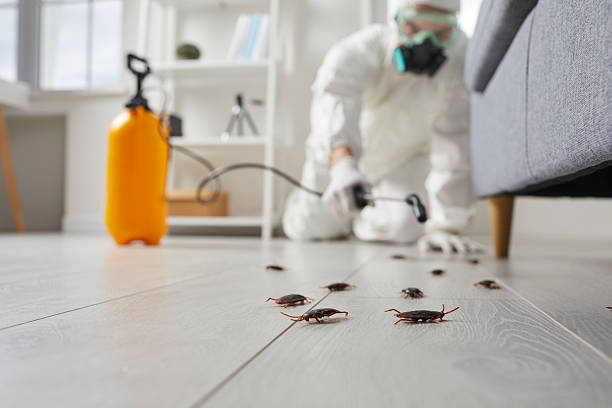 Commercial Rodent Management in Salisbury